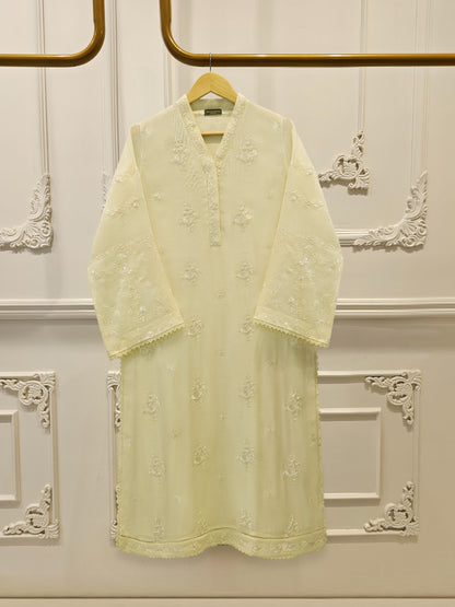 2 Piece - Pure Embroidered Cotton Net Suit