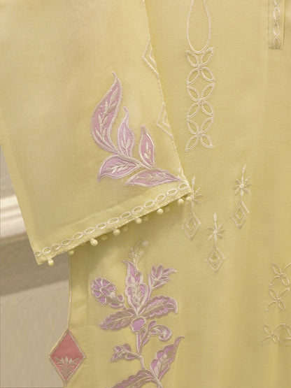 2 Piece - Pure Embroidered Cotton Net Suit