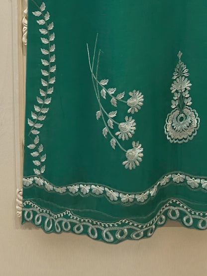 Pure Organza Embroidered Suit