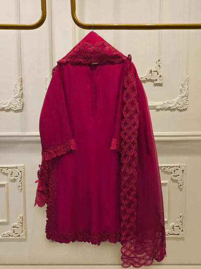 2 Piece - Pure Embroidered Cotton Net Suit