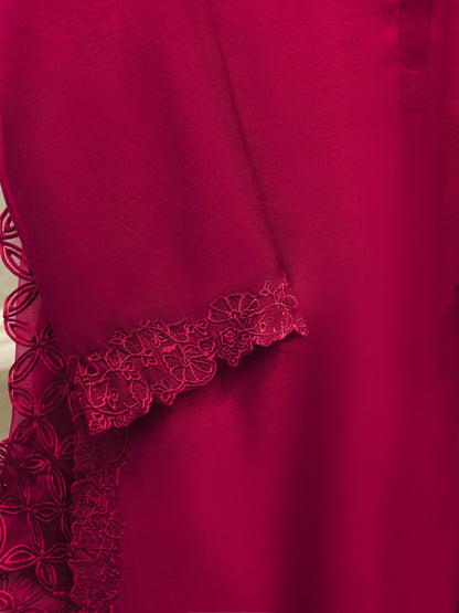 2 Piece - Pure Embroidered Cotton Net Suit