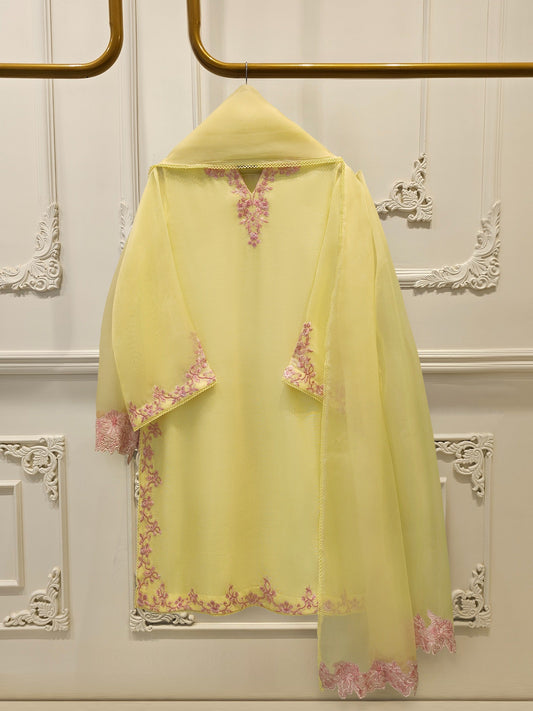 AGHA NOOR Pure Embroidered Cotton Net Suit | 3 Piece