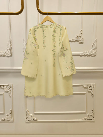 2 Piece - Embroidered Shesha Silk suit