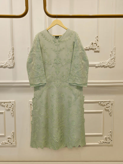 2 Piece - Pure Organza Embroidered Suit